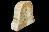 Tall, Petrified Wood (Tropical Hardwood) Bookends - Indonesia #142913-1
